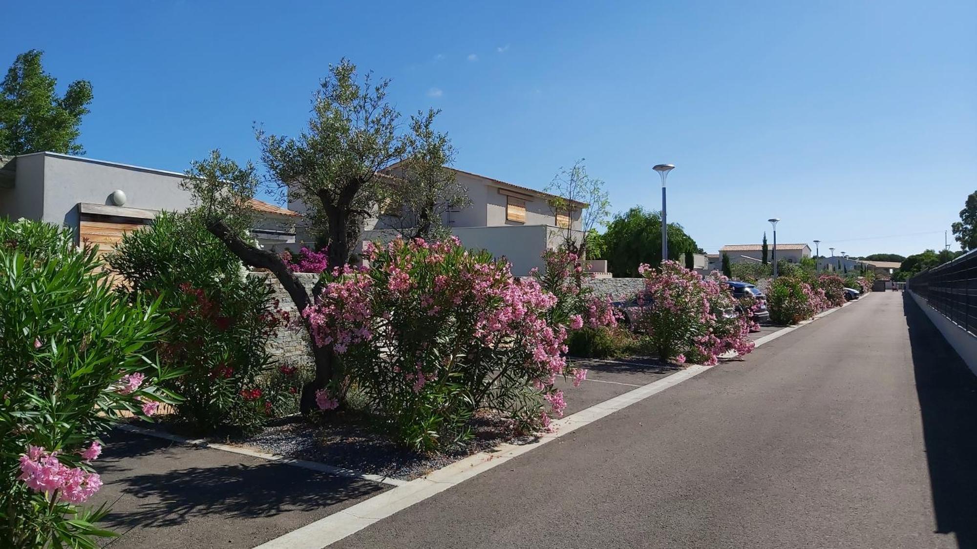 Villa Home Holiday A Cala Rossa Lecci Εξωτερικό φωτογραφία